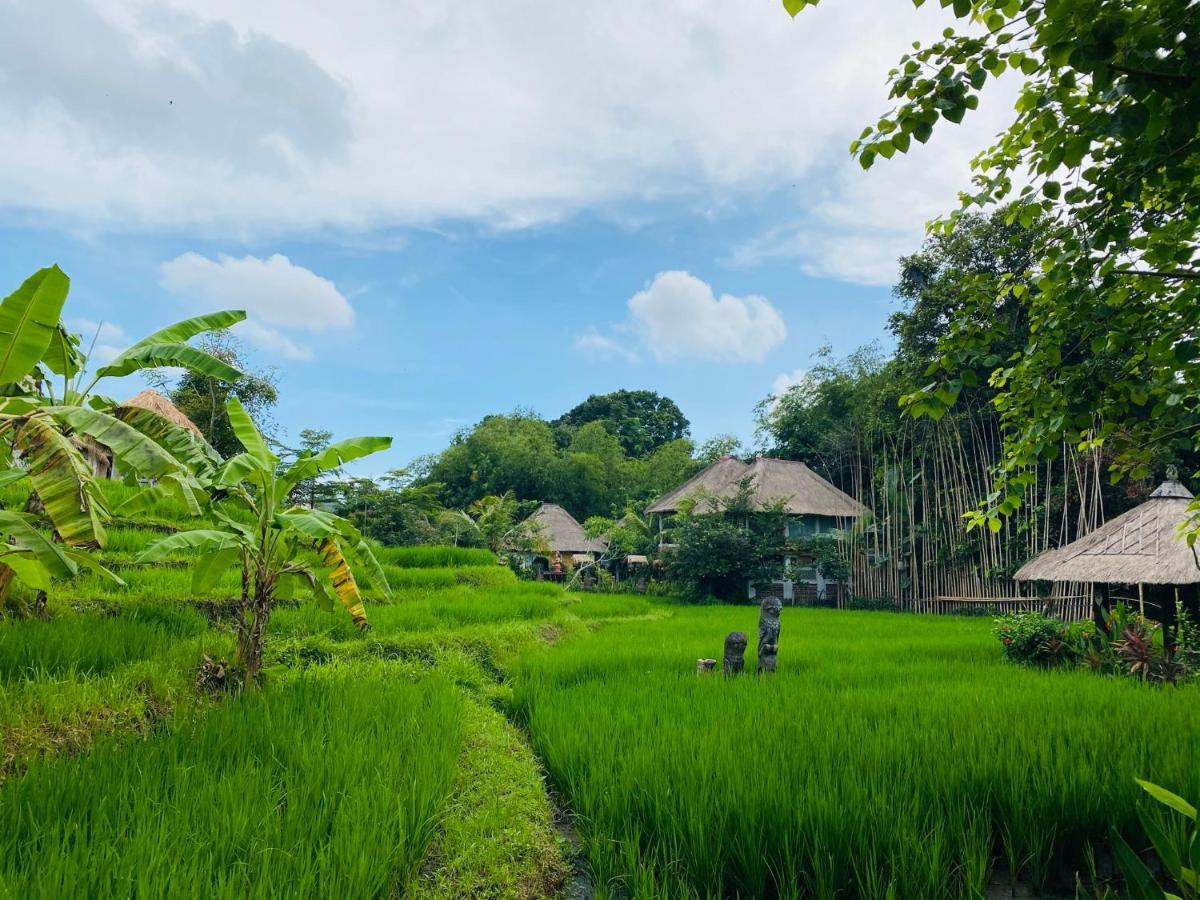 Kts Balinese Villas Canggu Kültér fotó
