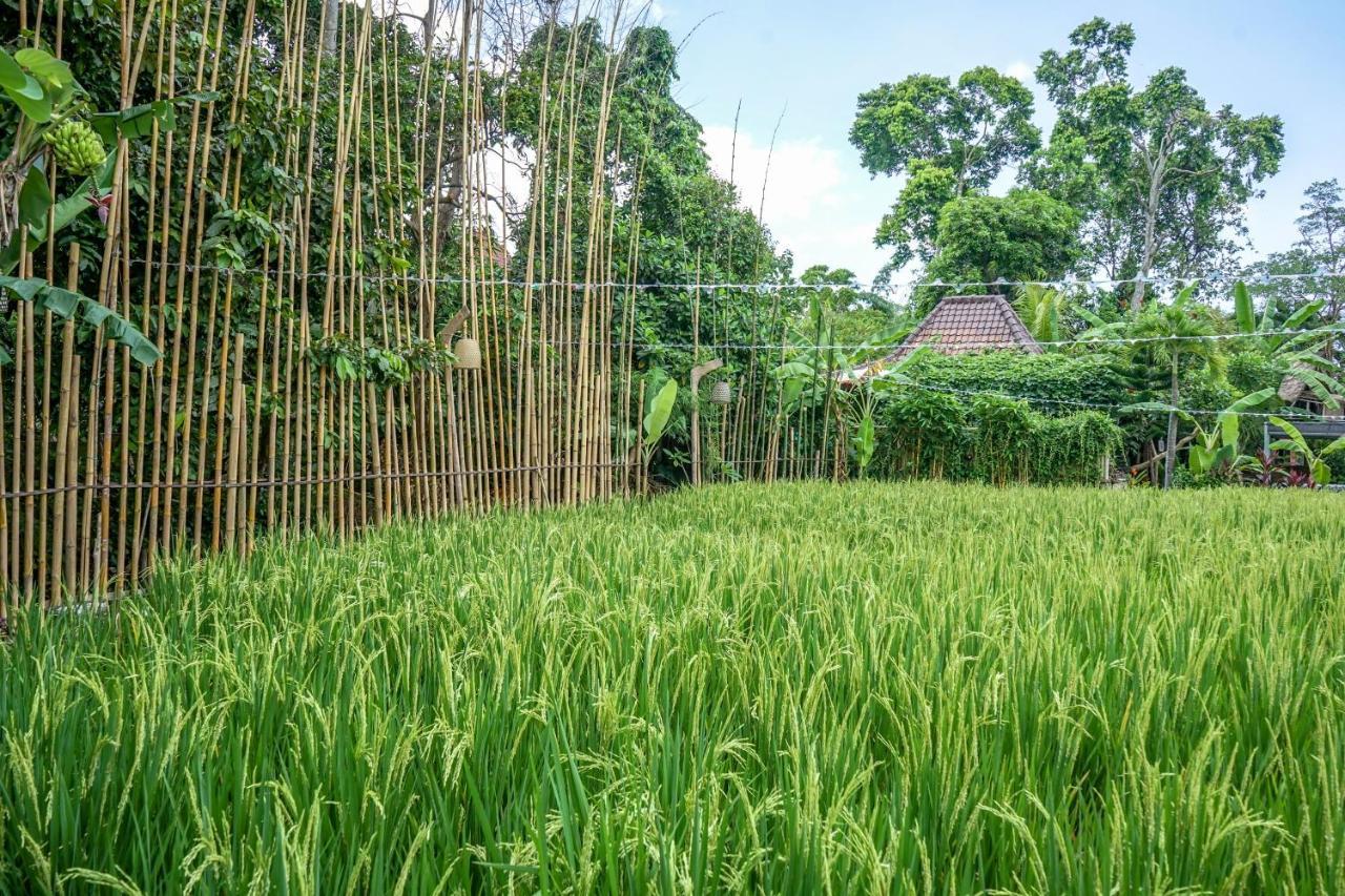 Kts Balinese Villas Canggu Kültér fotó